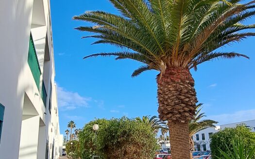 Amplio apartamento con dos dormitorios cerca centro playa blanca y del colegio e instituto, para entrar a vivir- 006